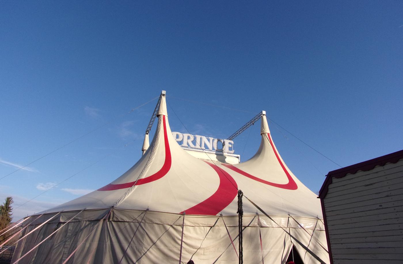 Chcete zmírnit předvánoční shon? Běžte s dětmi do cirkusu!