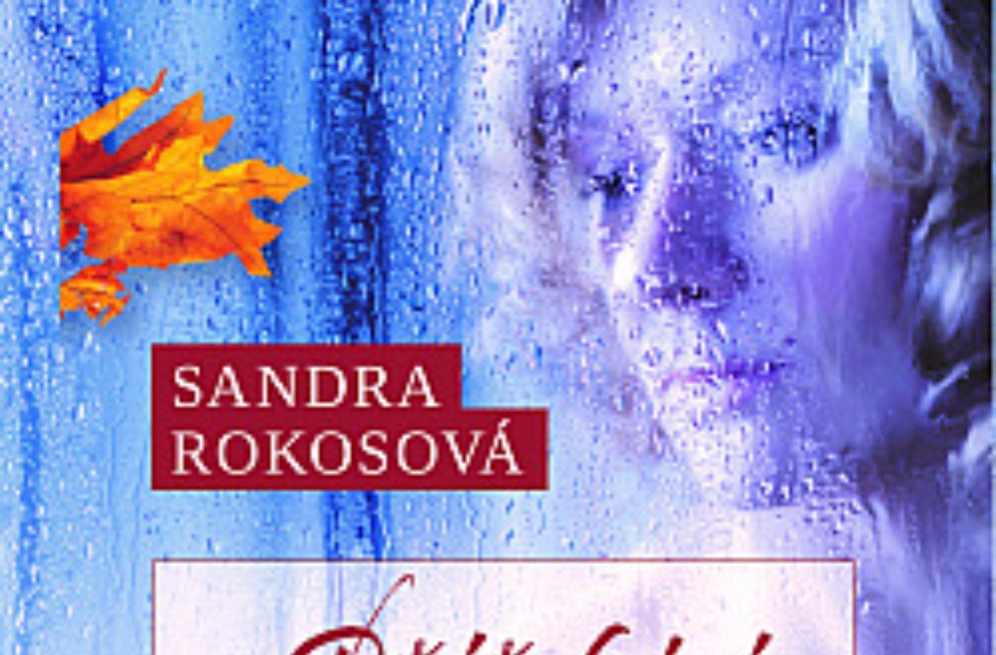Sandra Rokosová - Přišel jsi, když venku pršelo