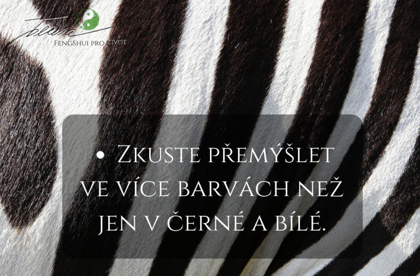 Zvažte i plán B... - na čtvrtek 15.11.18