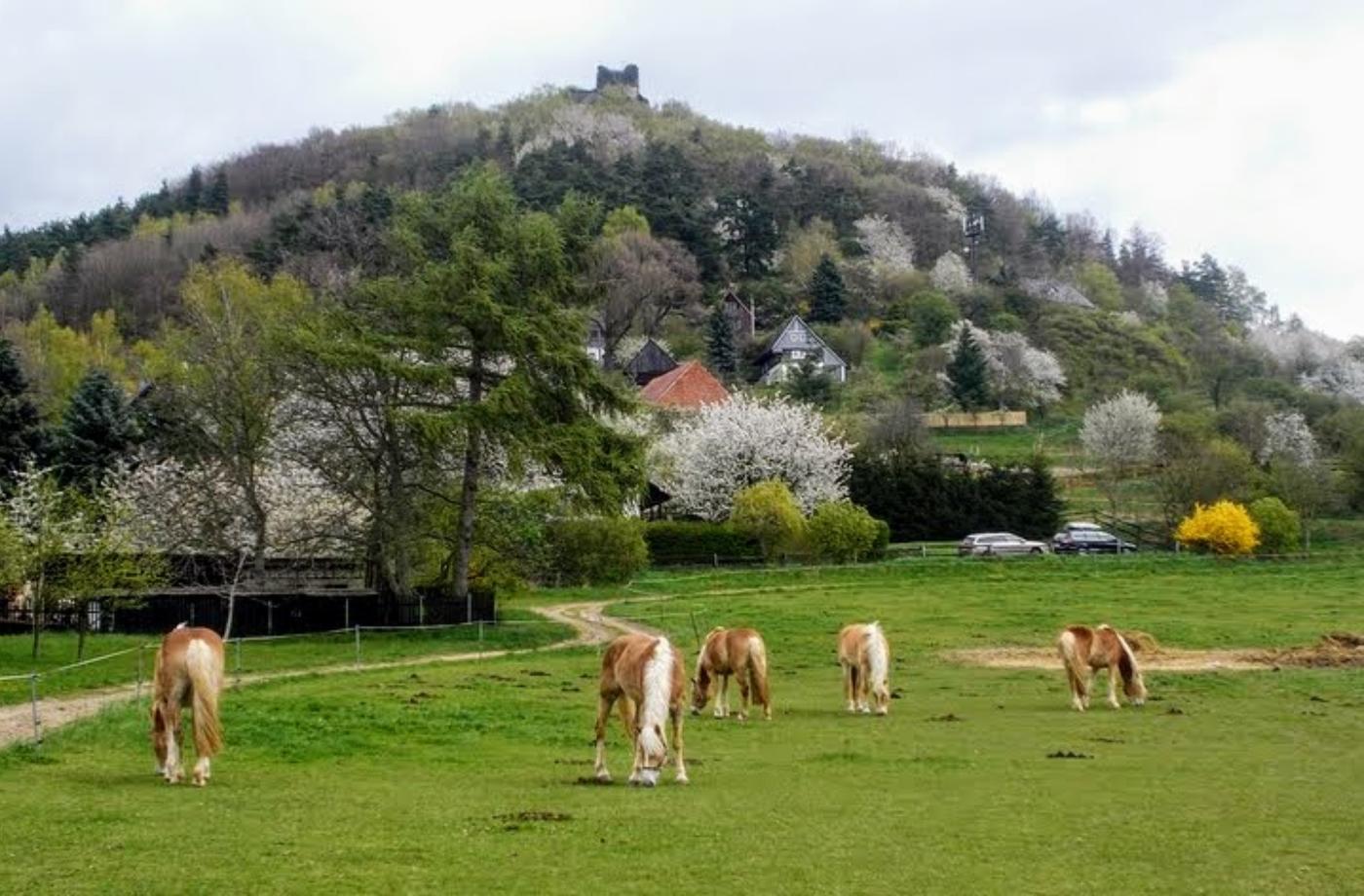Pod Starým Berštejnem