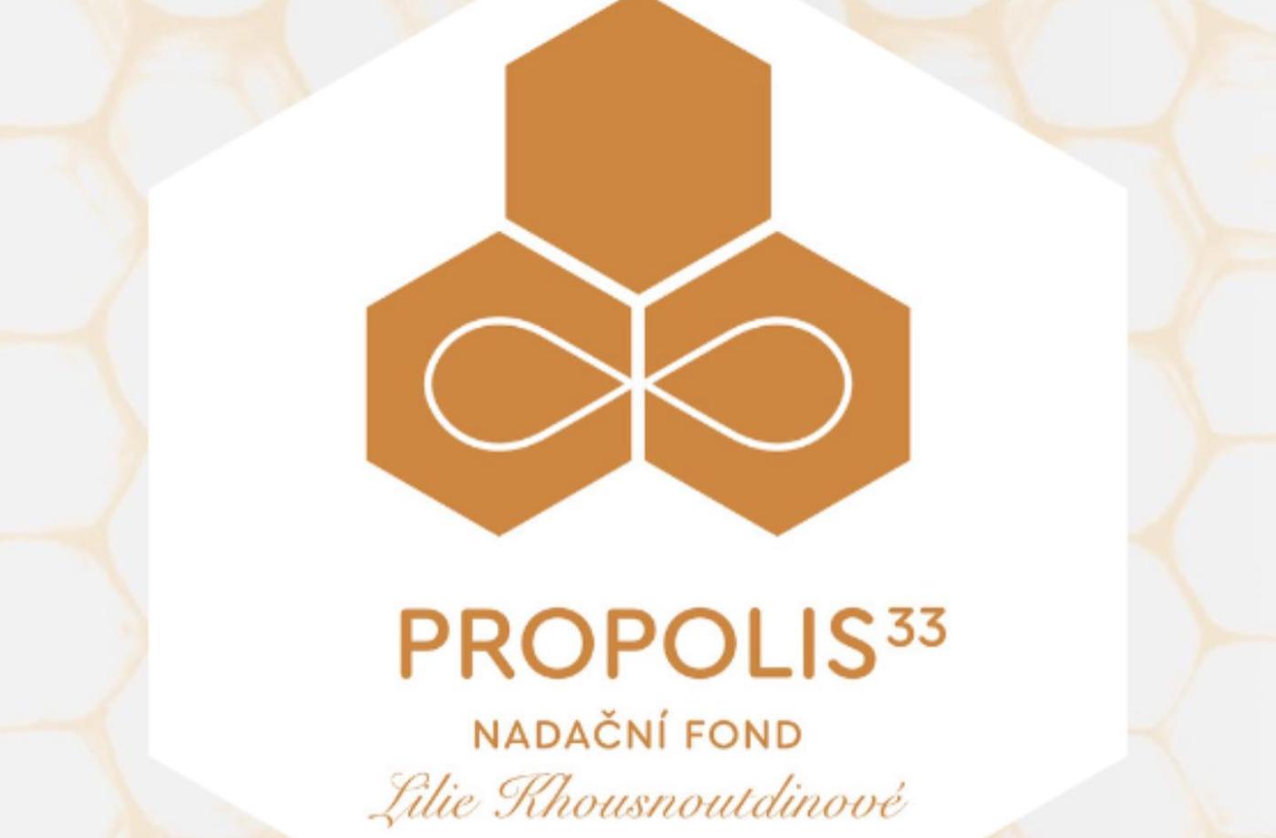 Nadační fond Propolis 33