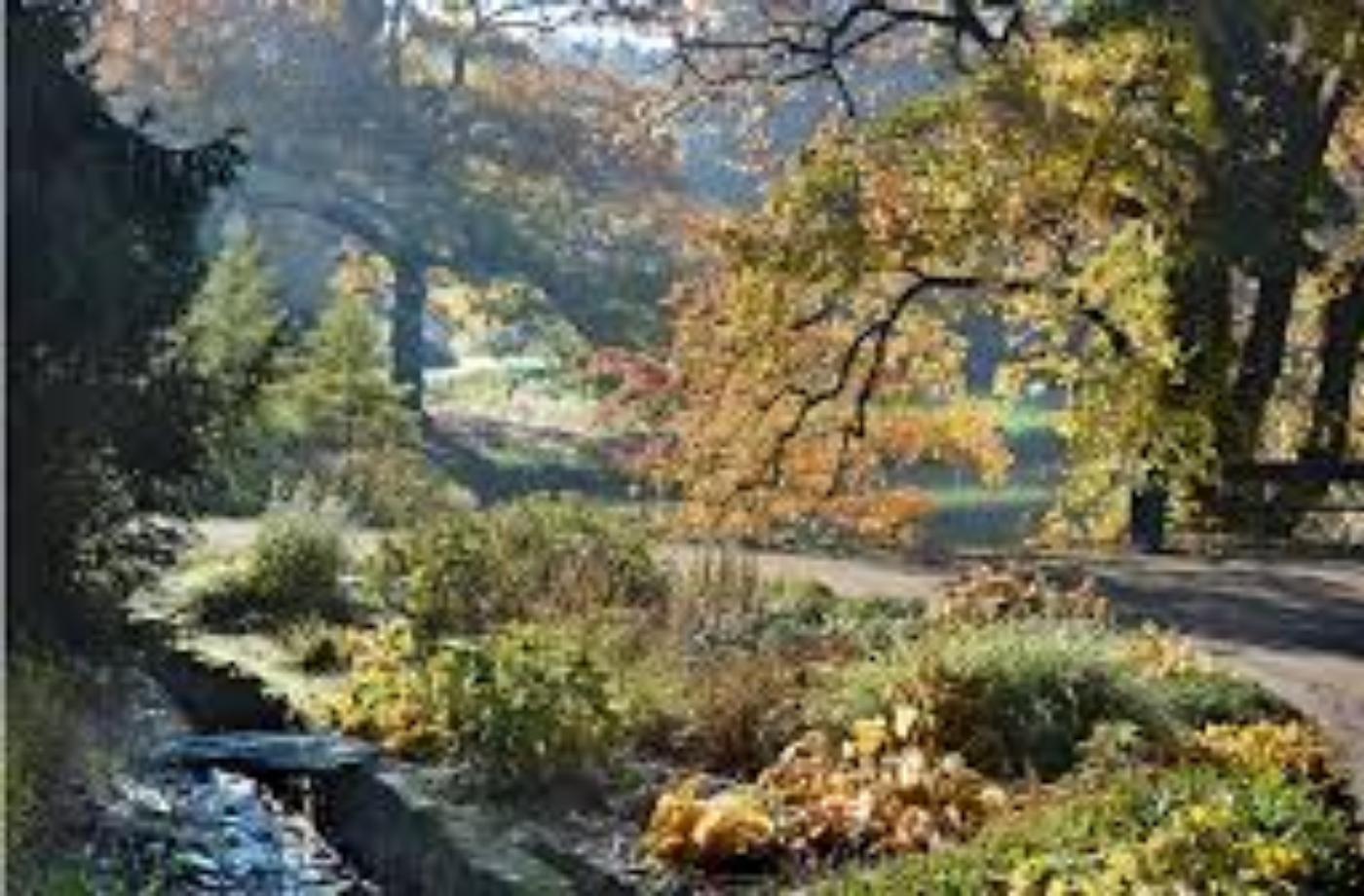 Průhonický park