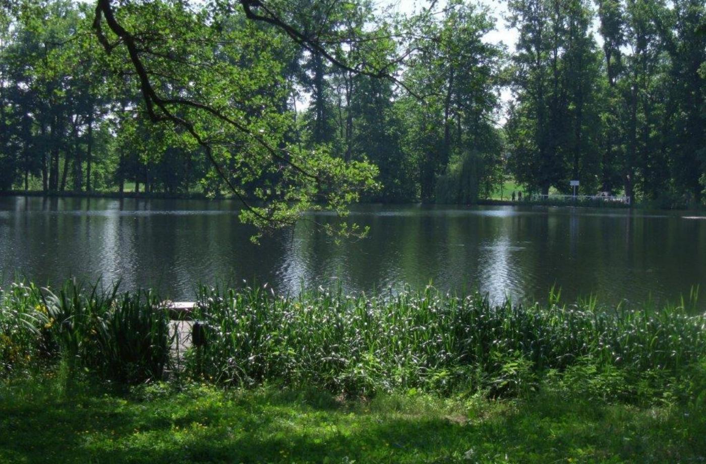 Lopatský rybník