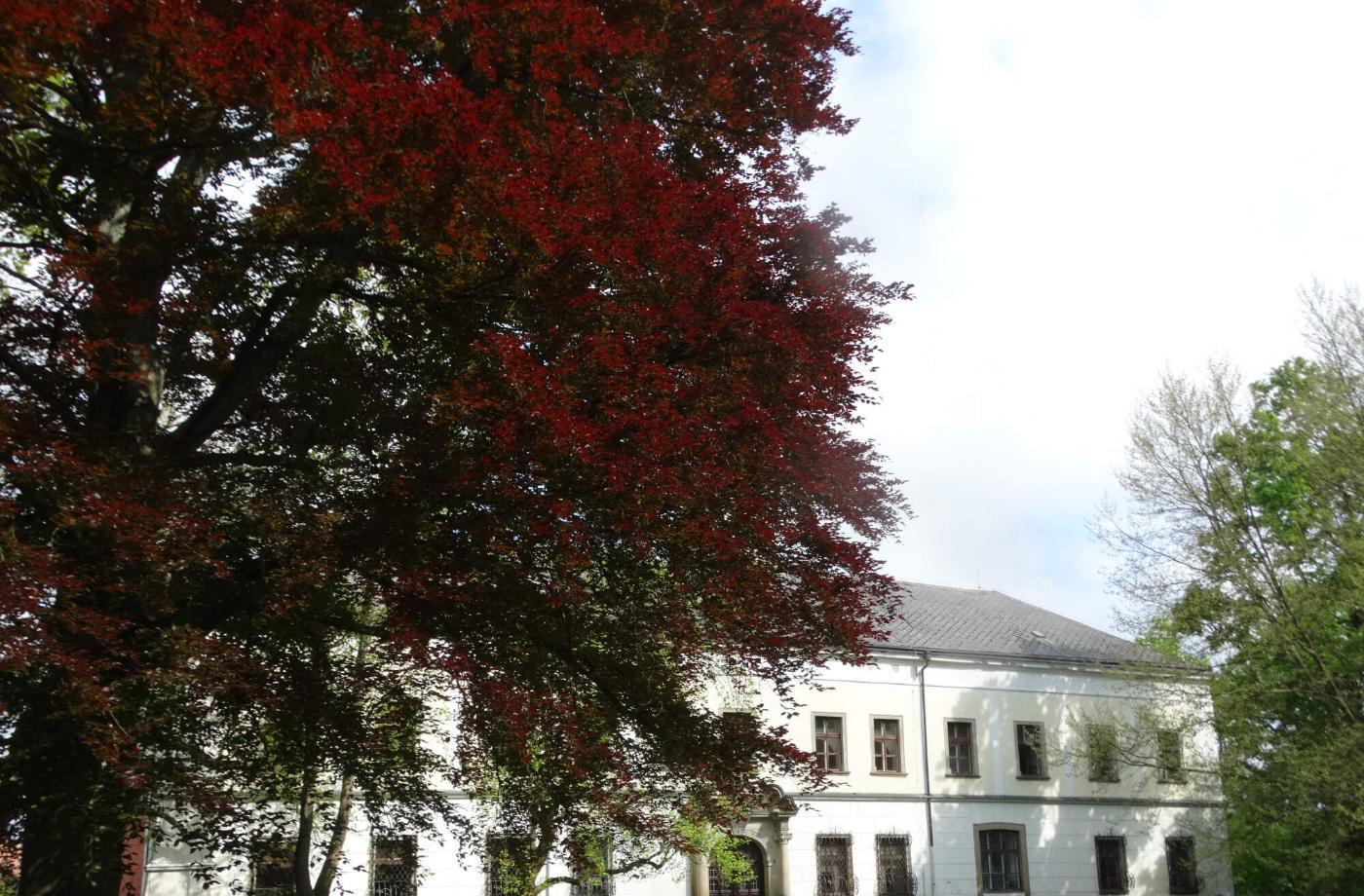 Žamberk - zámek a park