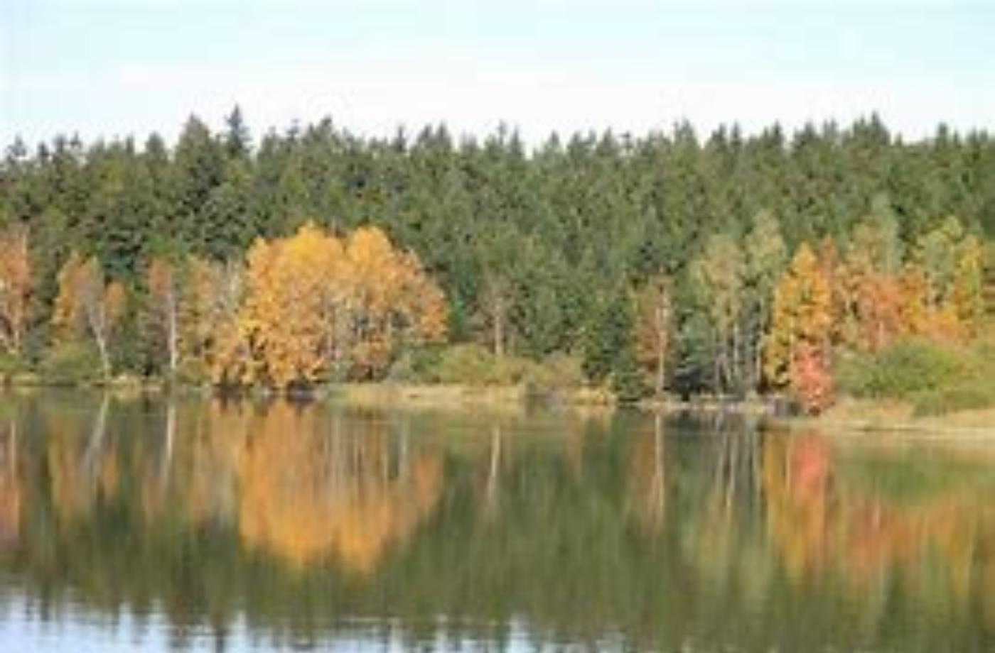 Babí léto nakonec bude
