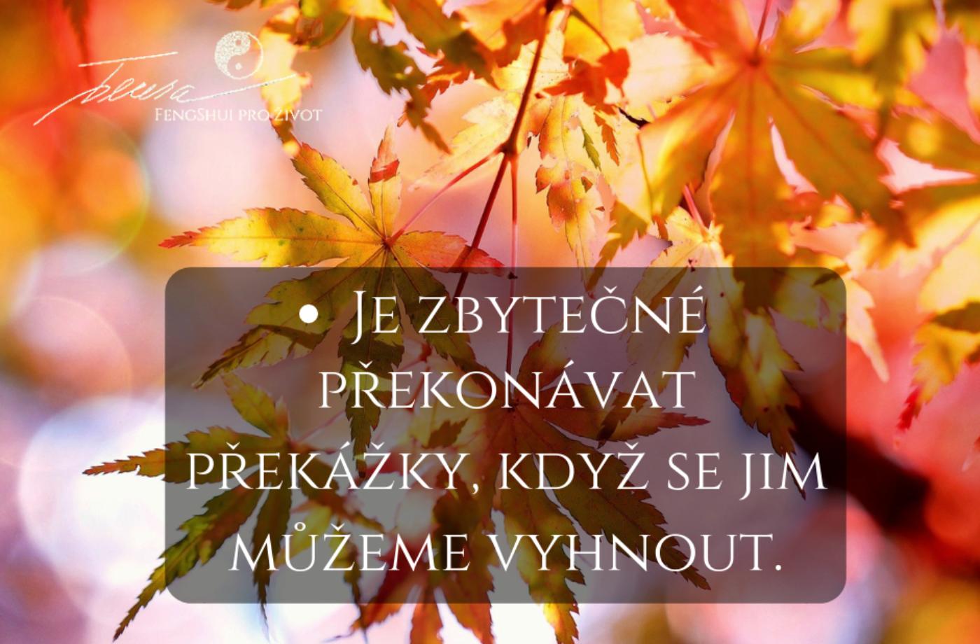 Dobře zvažte svoji aktivitu... - na úterý 18.09.18
