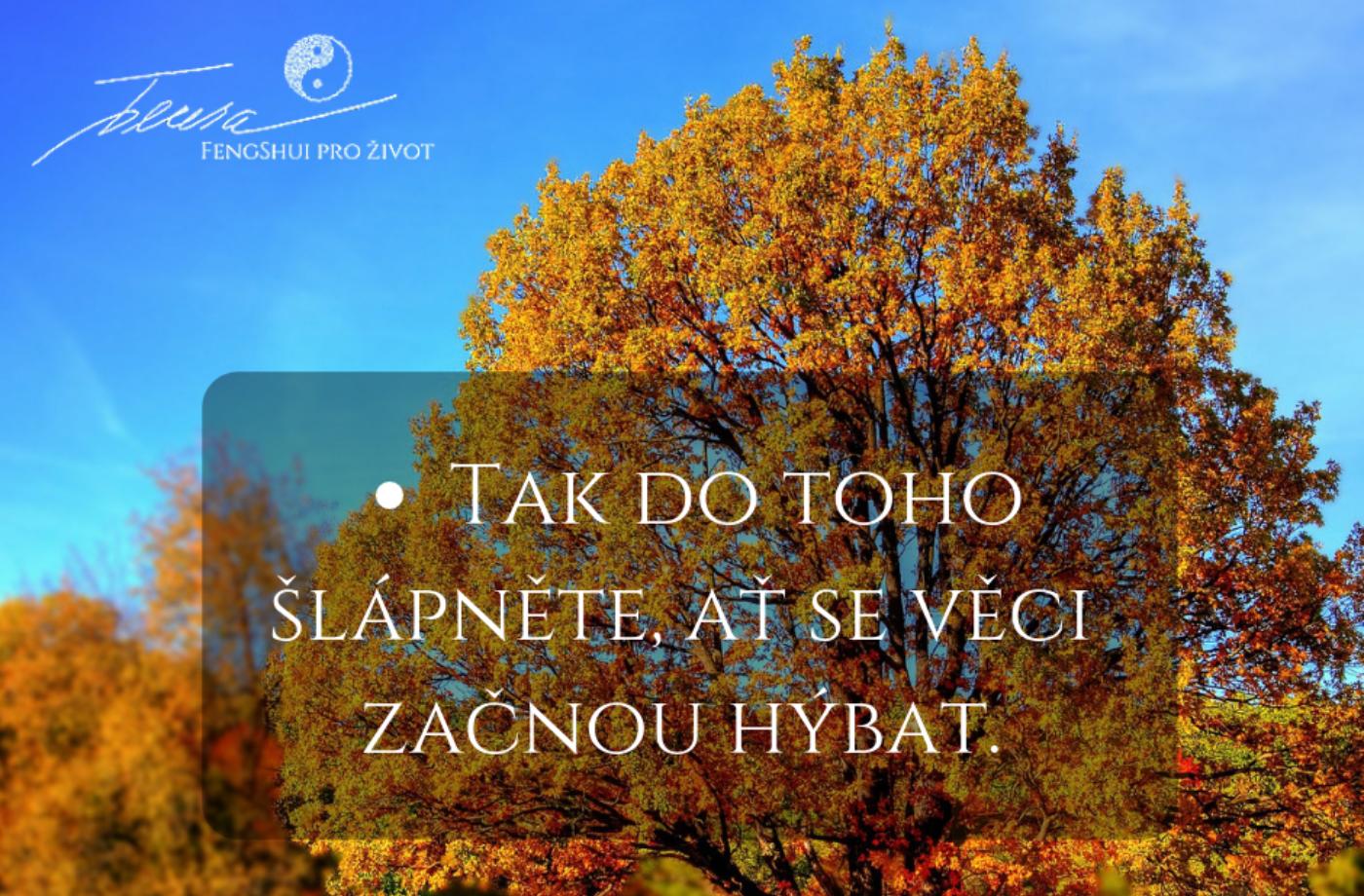 Nenechte se přemlouvat... - na středu 17.10.18