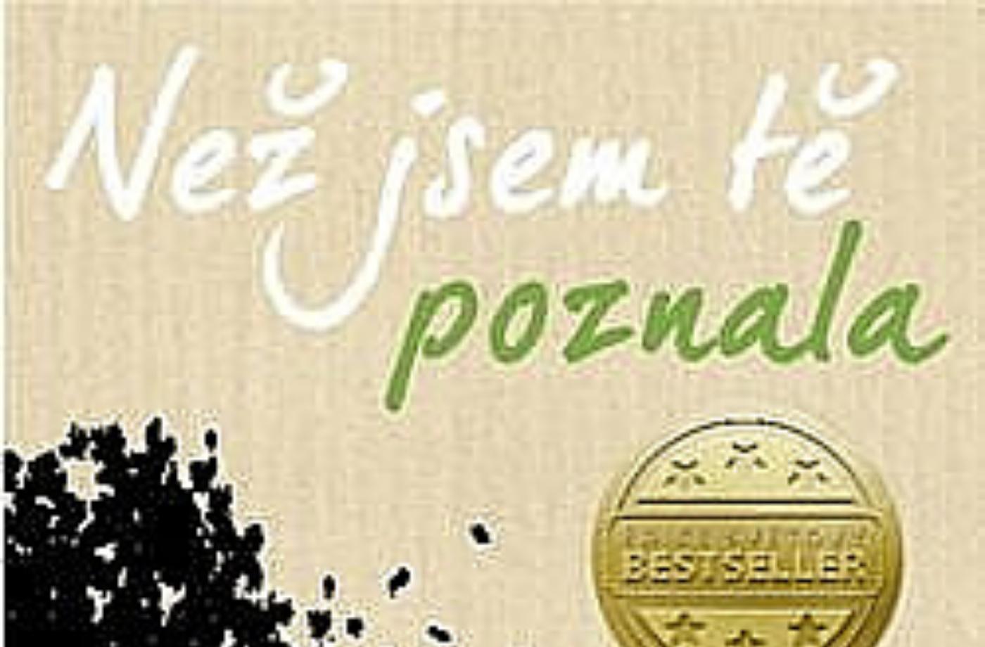 Jojo Moyes - Než jsem tě poznala
