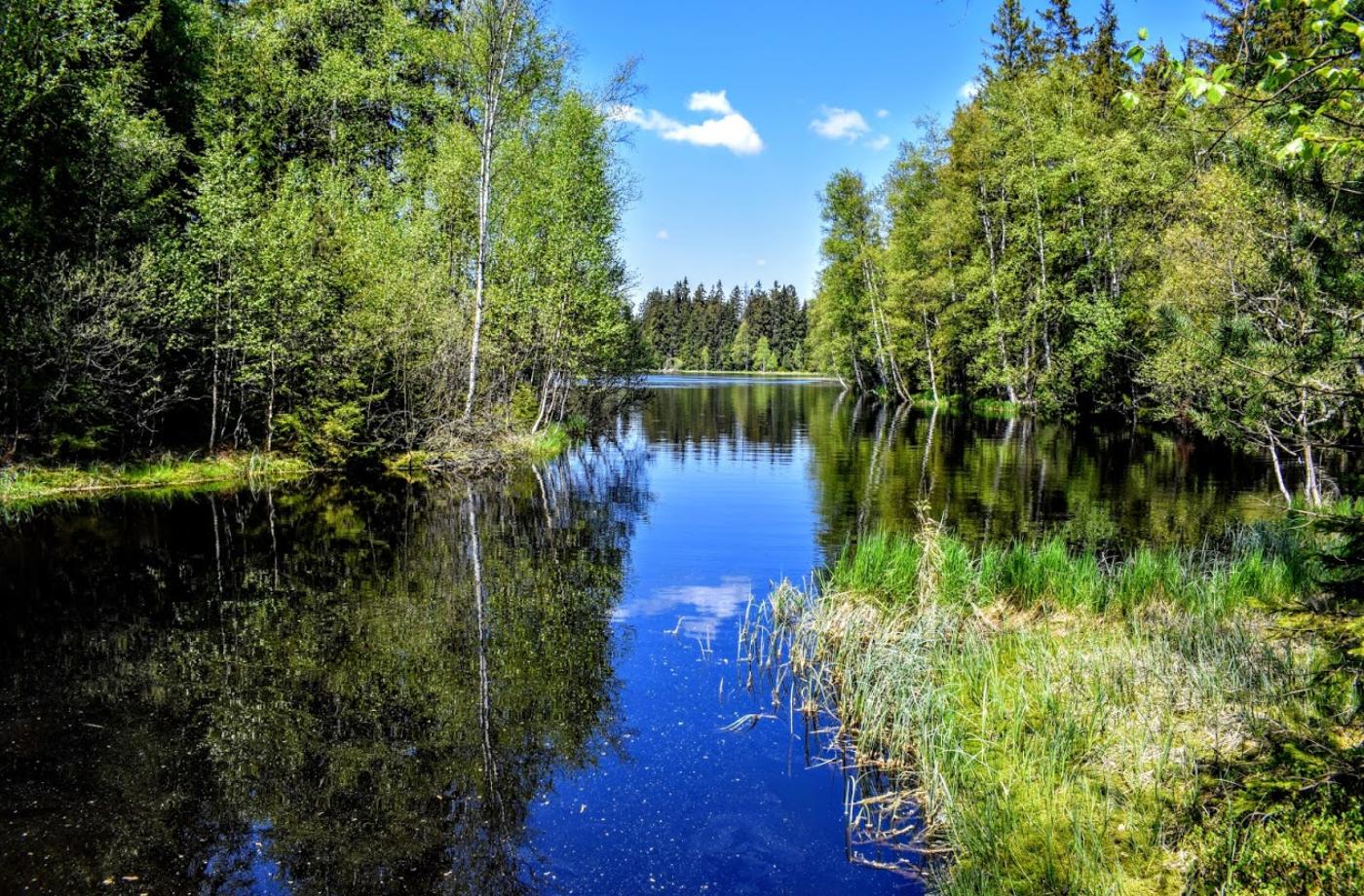 KLADSKÁ