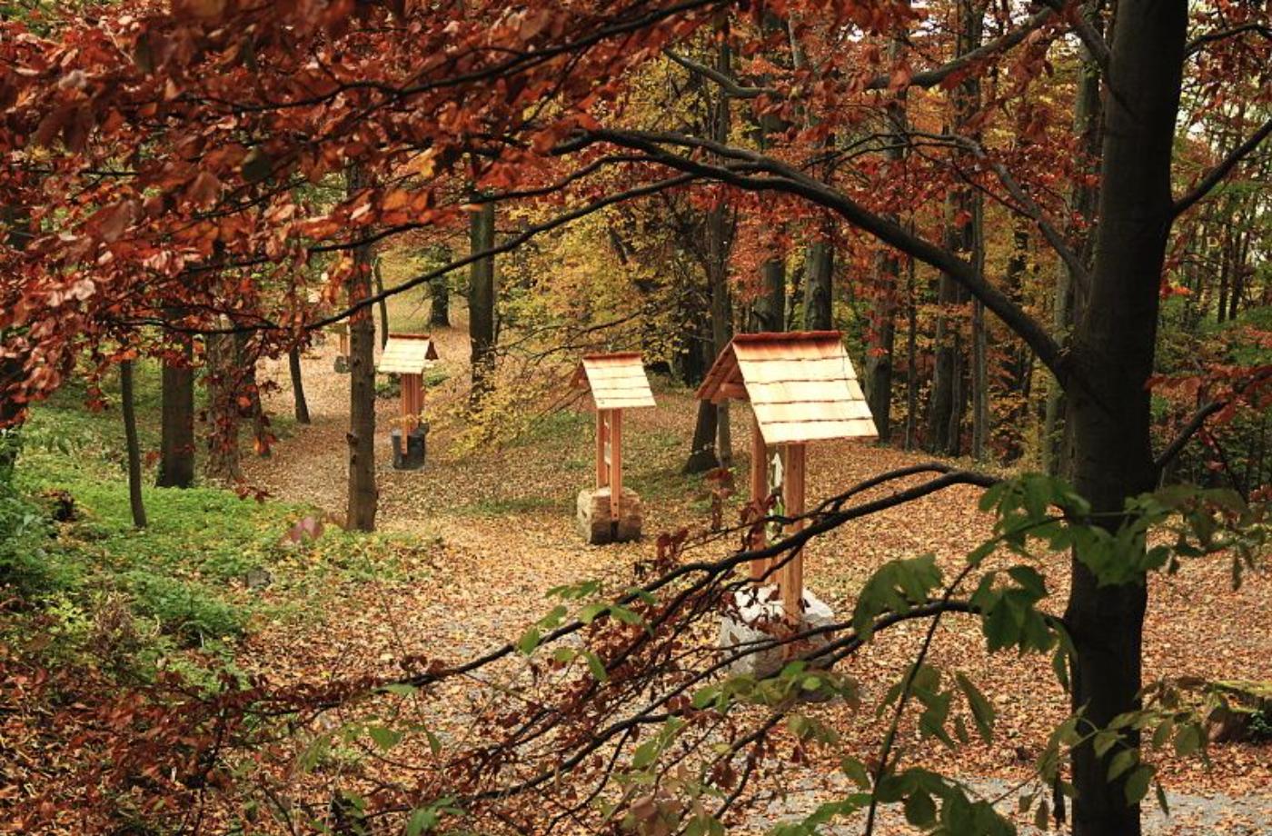 Hostýn - Cesta světla