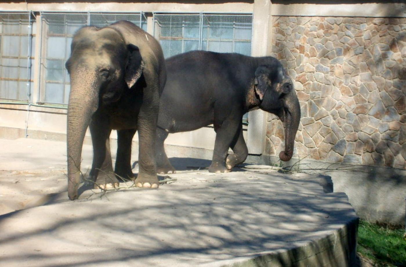 ZOO Liberec
