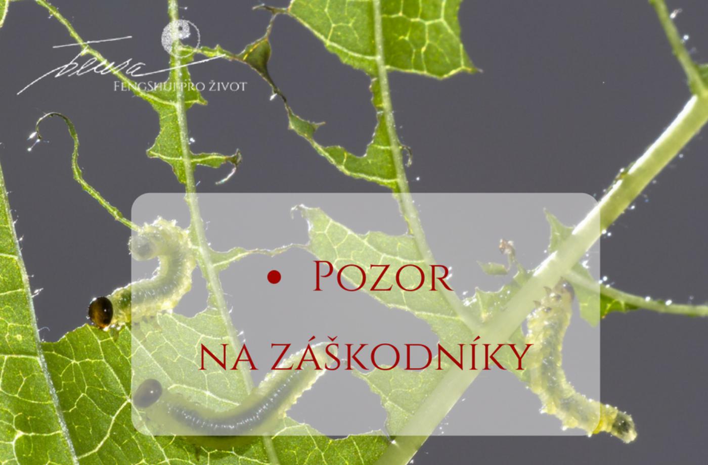 Dobře se rozhlédněte... - na pondělí 21.05.18