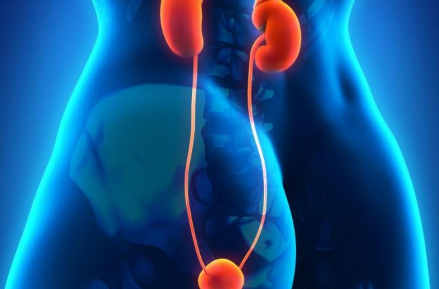 Nikdy bych neřekla, jak moc můj život ovlivní předčasný porod. Návštěva u nadšené propagátorky tradiční čínské medicíny byla jako detektivka, na které rozuzlení jsem čekala 50 let.
