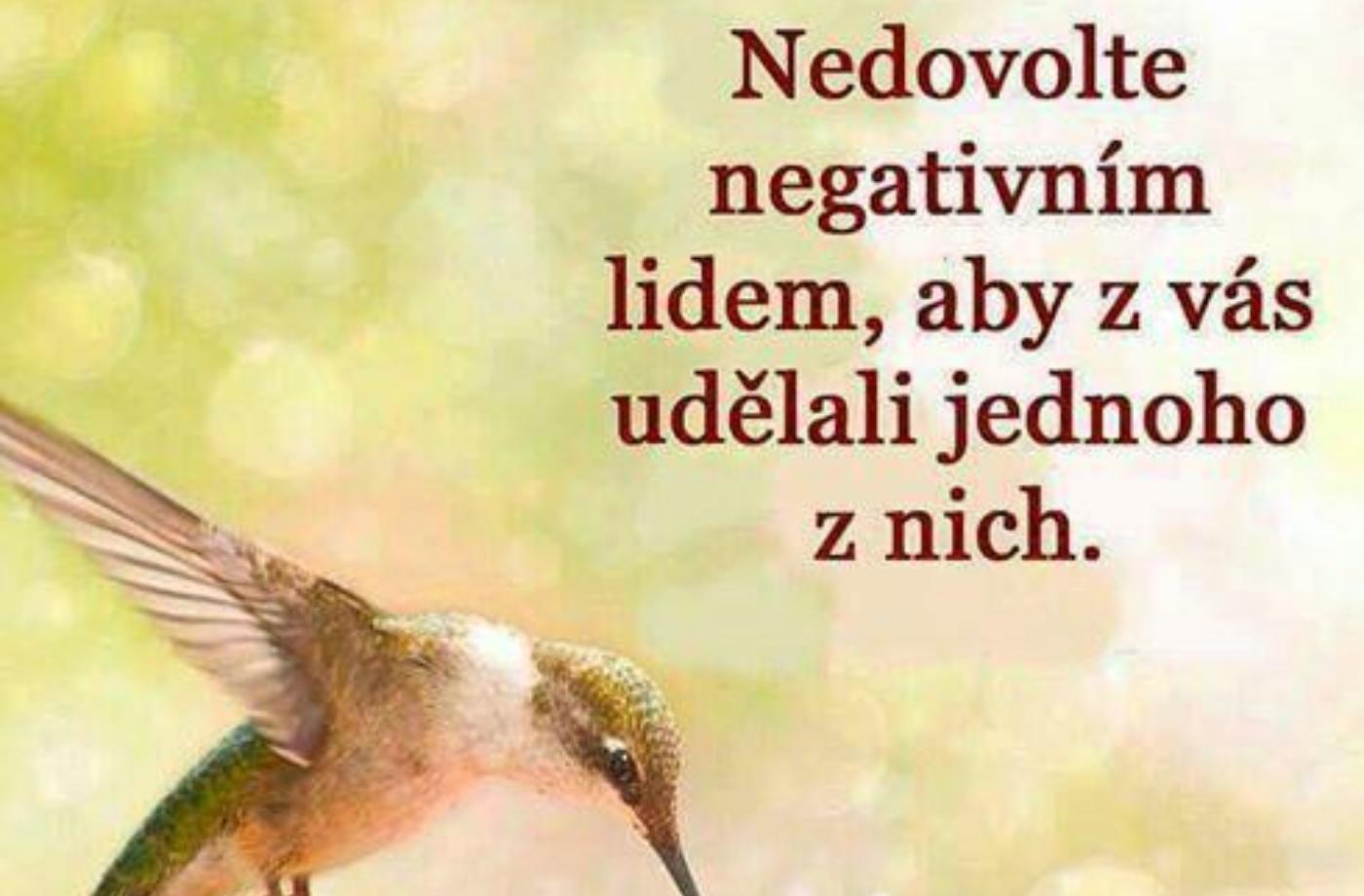 Melancholik, cholerik, flegmatik nebo sangvinik ?