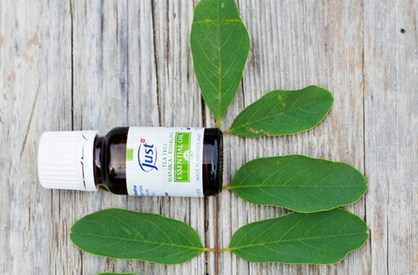 48 způsobů použití Tea Tree oleje