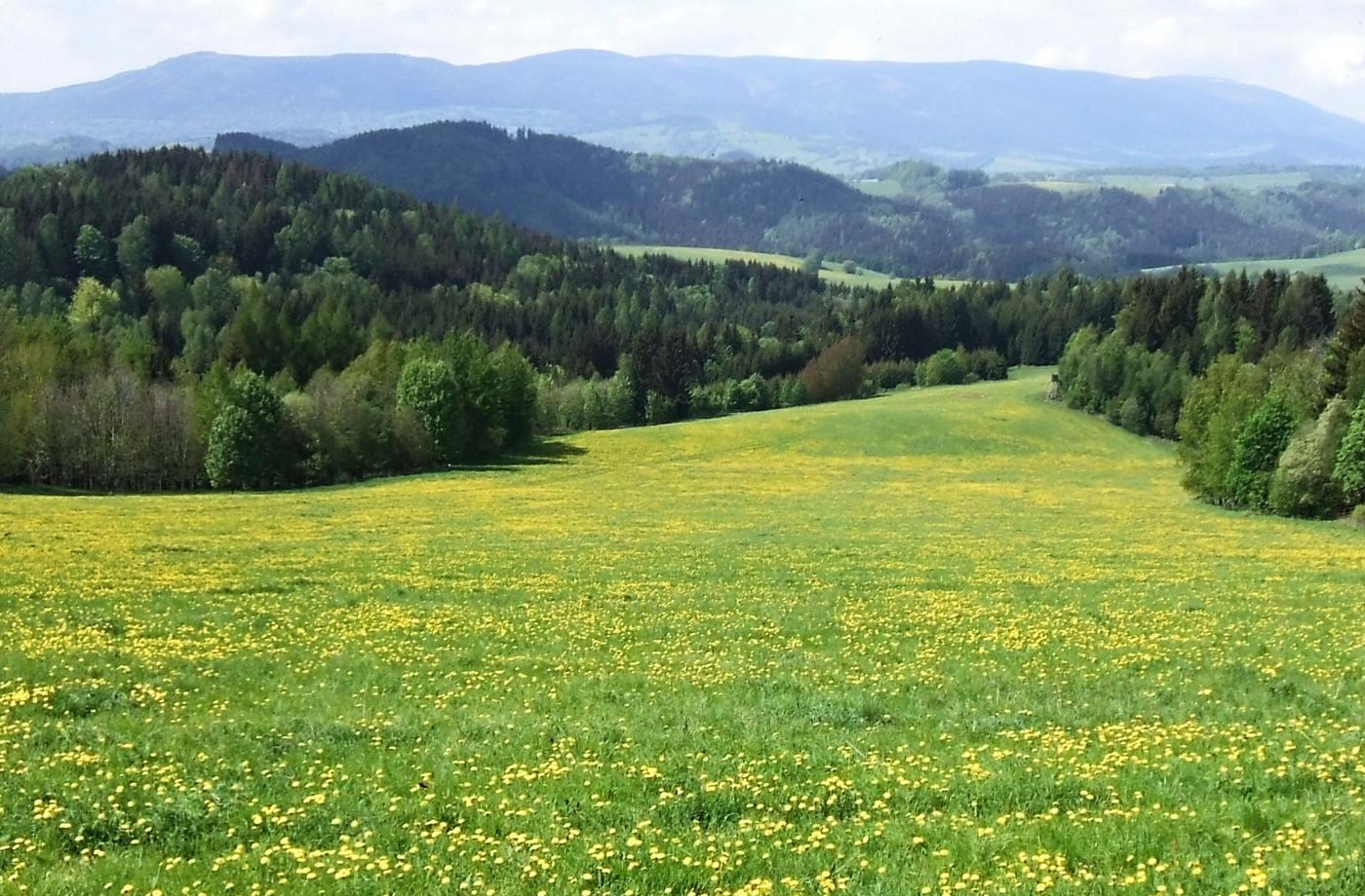 CESTOVATELSKÝ ZÁPISNÍK - JARO V JESENÍKÁCH