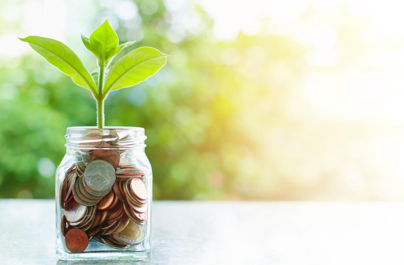 Jak k sobě přitáhnout hojnost a finance