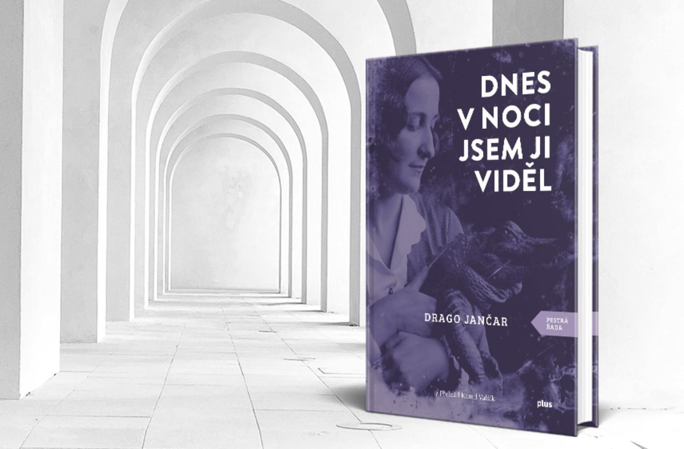 Recenze knihy Dnes v noci jsem ji viděl