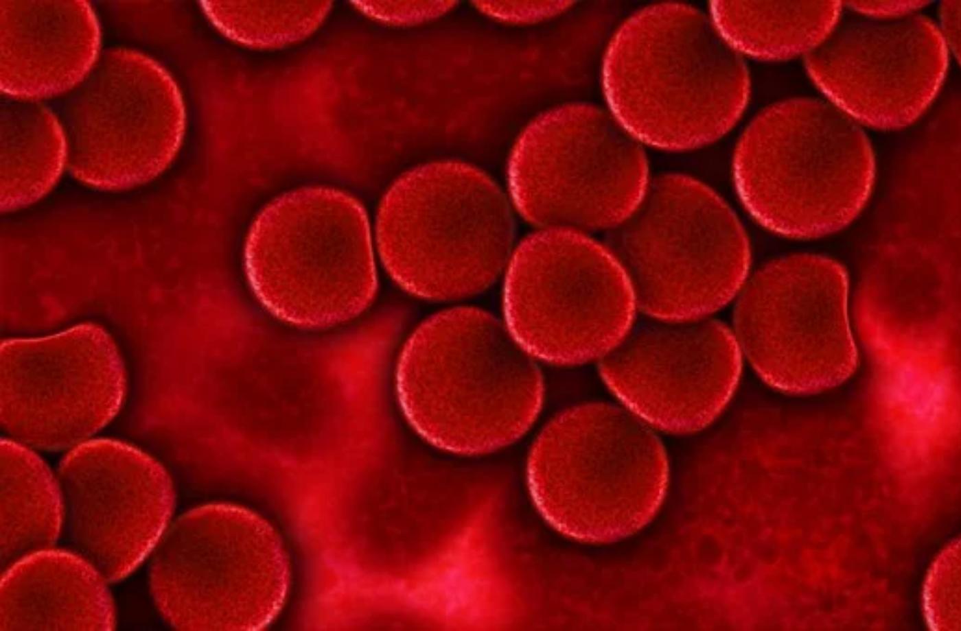 Afirmace pro krvácení a leukémii