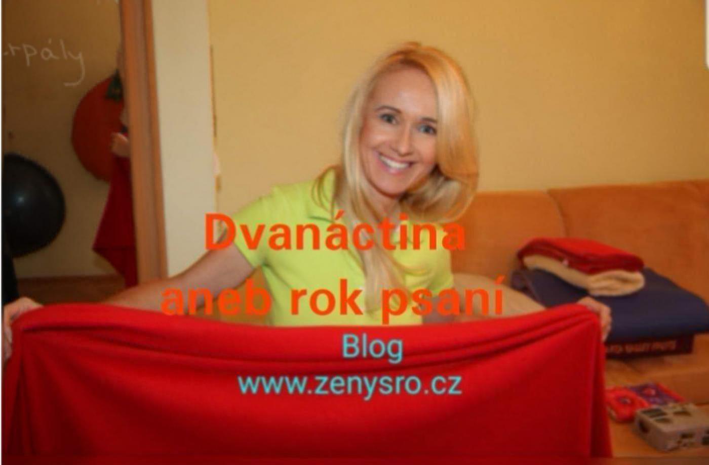 DVANÁCTINA aneb přesně (první) rok psaní