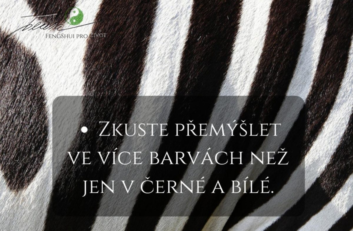 Zvažte i plán B... - na čtvrtek 15.11.18