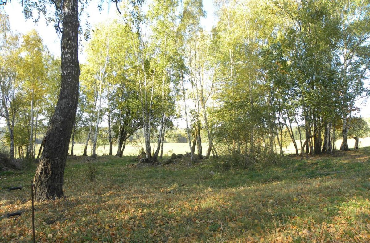 Ralsko - zaniklé obce v jeho okolí – Dvůr Medný (Mednay)