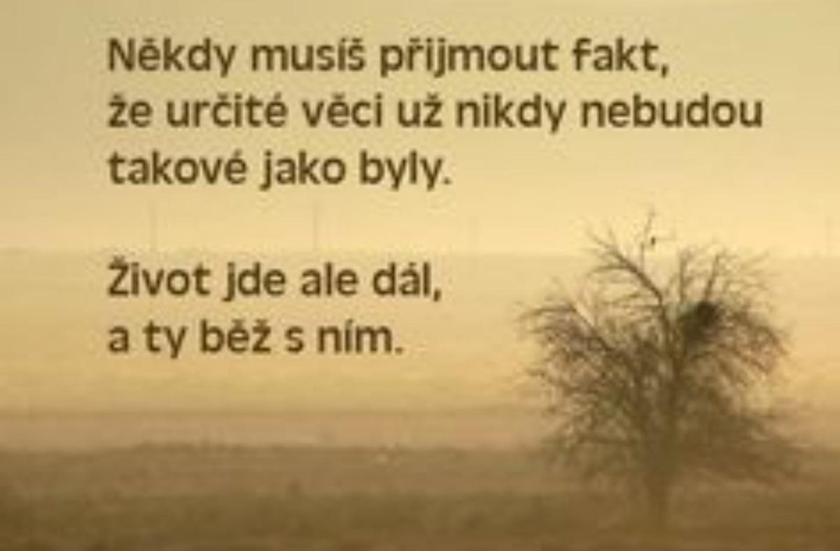 Donesl internet...