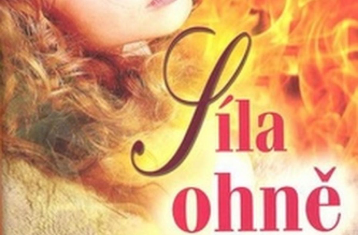 Recenze knihy - Síla ohně