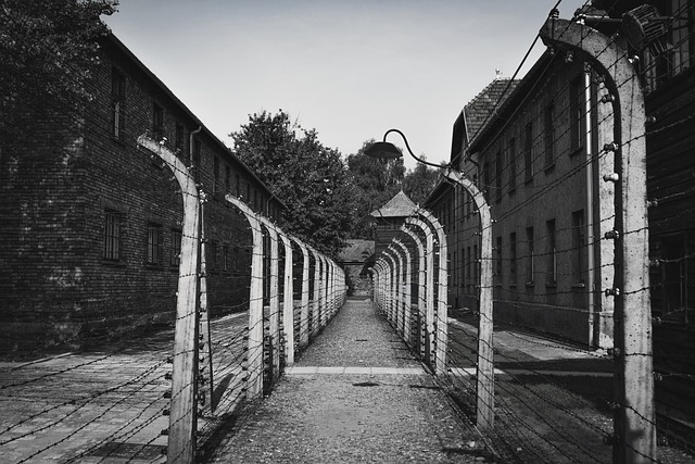 Co řeknu svým dětem o holocaustu?