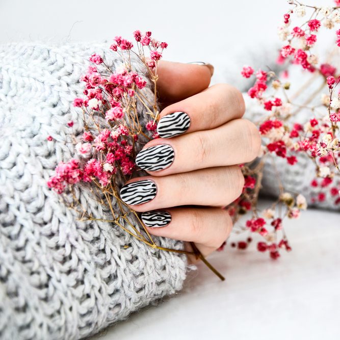 Hand,In,Sweater,And,Pink,Flowers,With,Zebra,Animal,Printed
