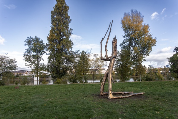 Praying_Wood_Kristof_Kintera_09