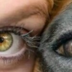 Profilový obrázek Lenka Havlíková