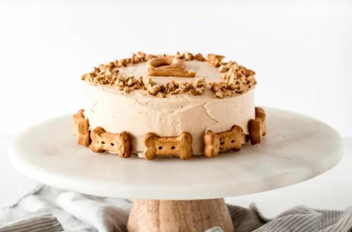 Recept na psí dort