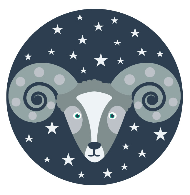 Zodiac,Signs,In,Circles,With,Stars,Simple,Flat,Vector,Illustration