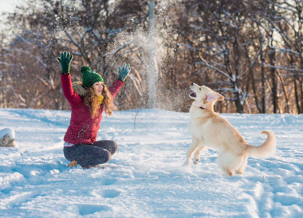 Happy,Beautiful,Young,Woman,Blowing,Snowflakes,From,Her,Hands,To