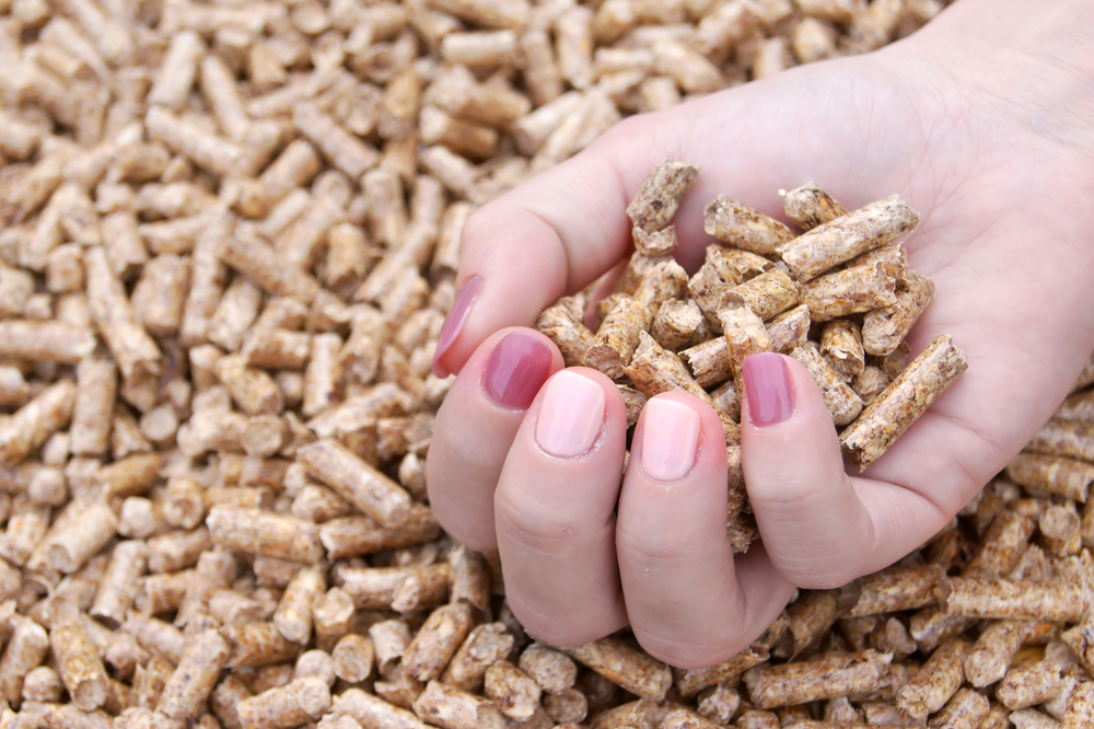 Pellets,In,Hand