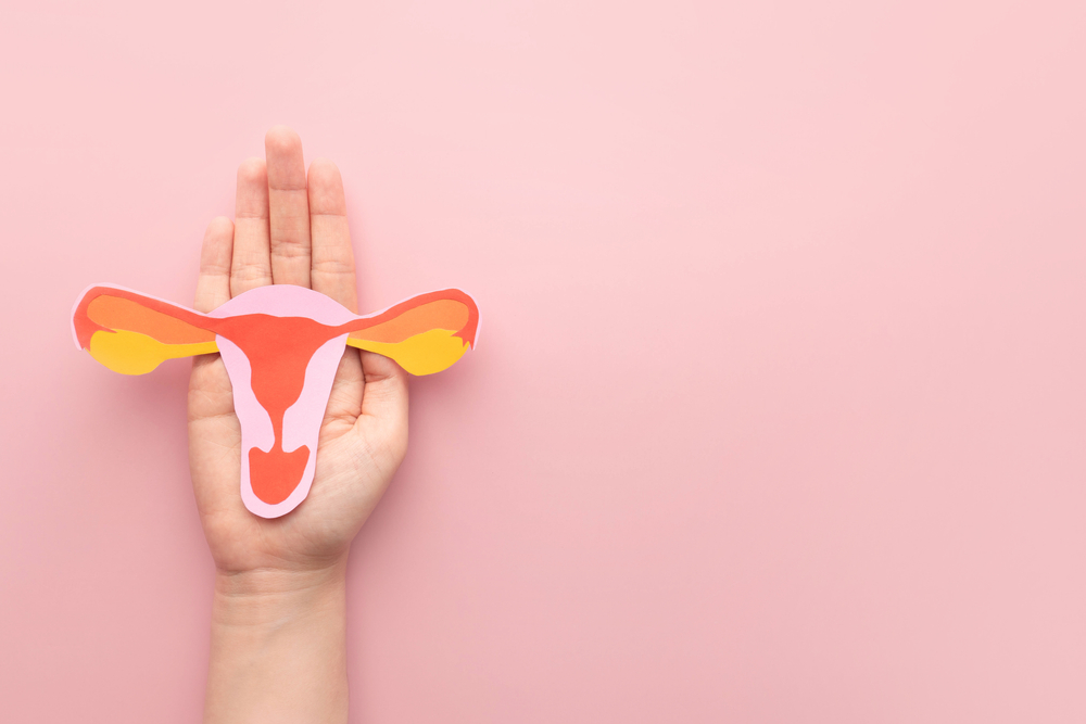 Female,Reproductive,Health,Concept.,Woman,Hand,Holding,Uterus,Shape,Made