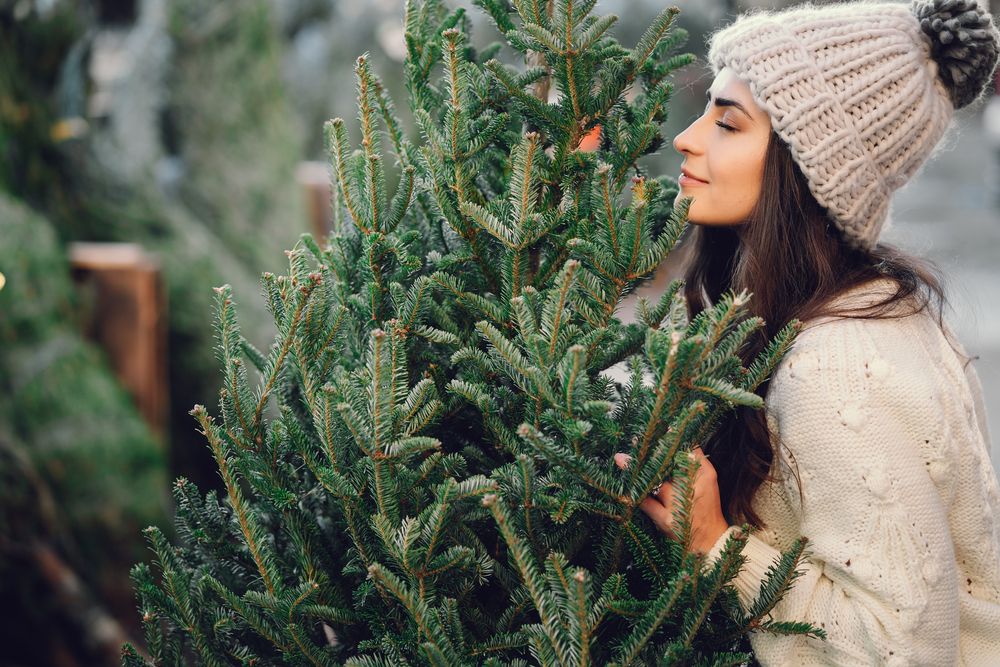 Elegant,Girl,Buys,A,Christmas,Tree.,Woman,In,A,White