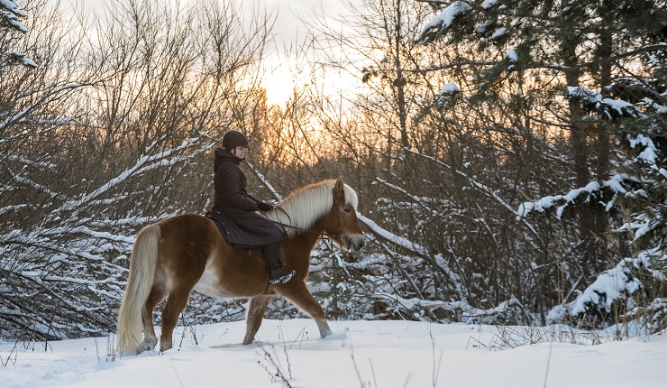 Woman horseback riding in winter forest