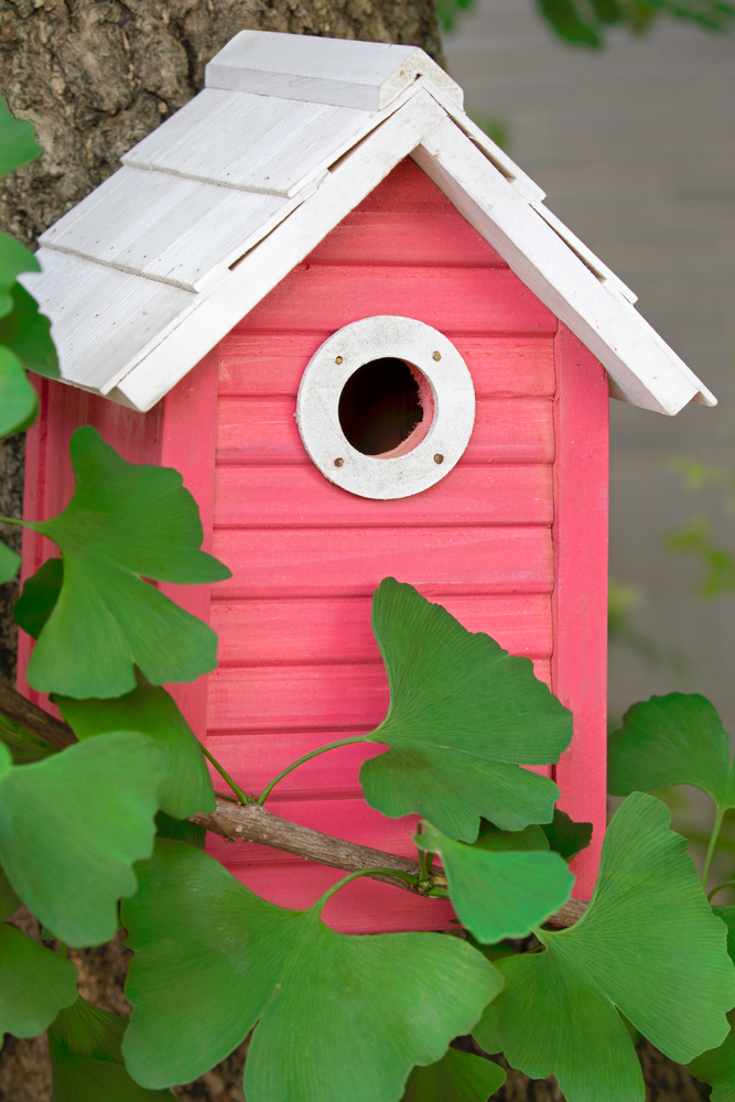 A,Beautiful,Pink,Birdhouse,Hanging,Outdoors,In,A,Ginkgo,Tree
