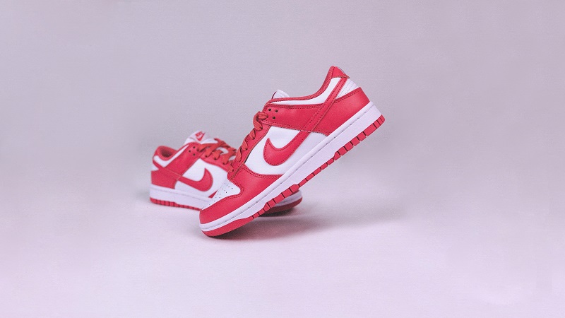 Nike Dunk Low Archeo Pink (W)_