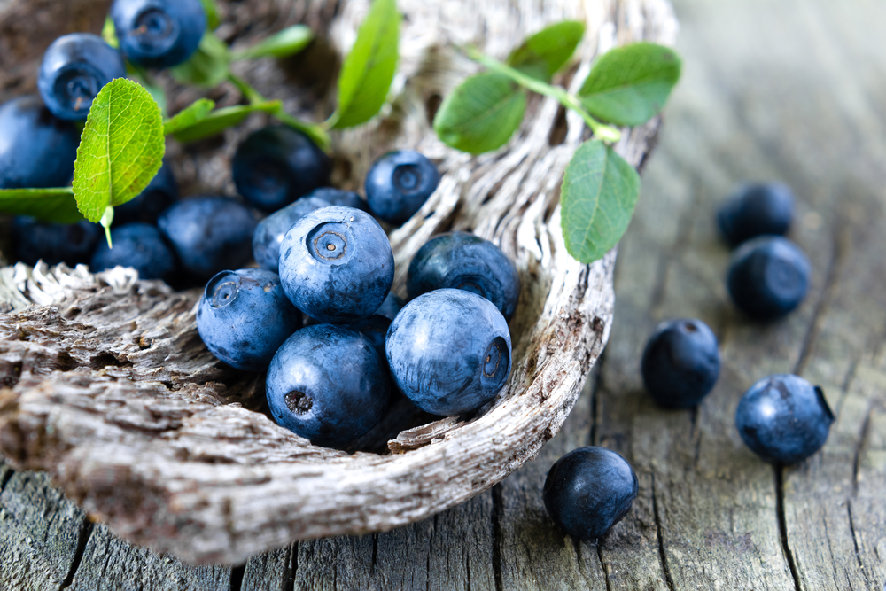 Blueberry