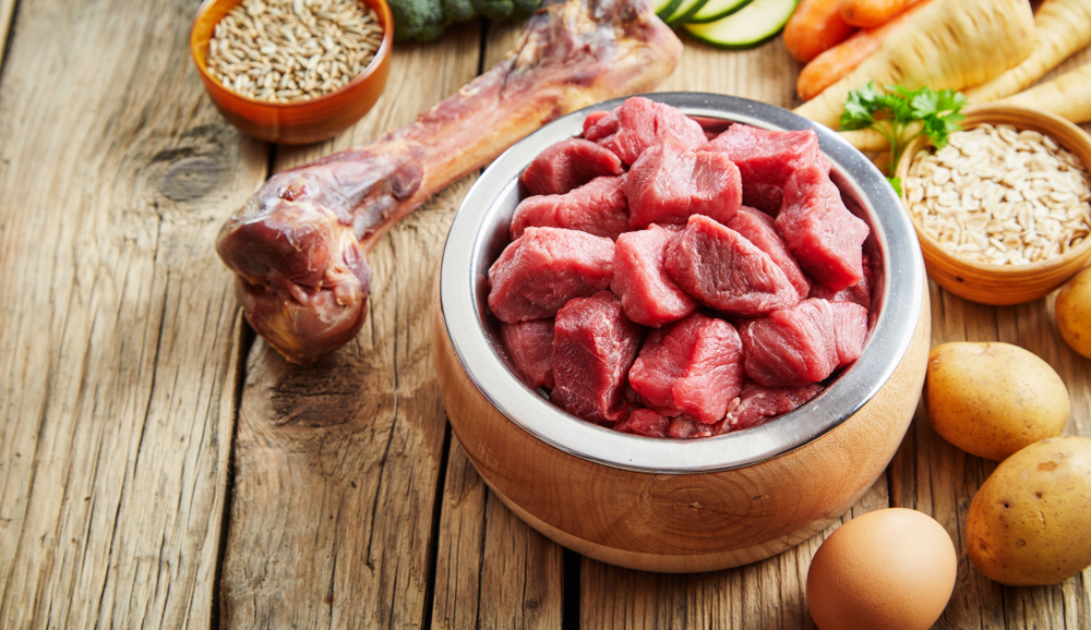 Healthy,Fresh,Pet,Food,Ingredients,On,A,Rustic,Floor,Including