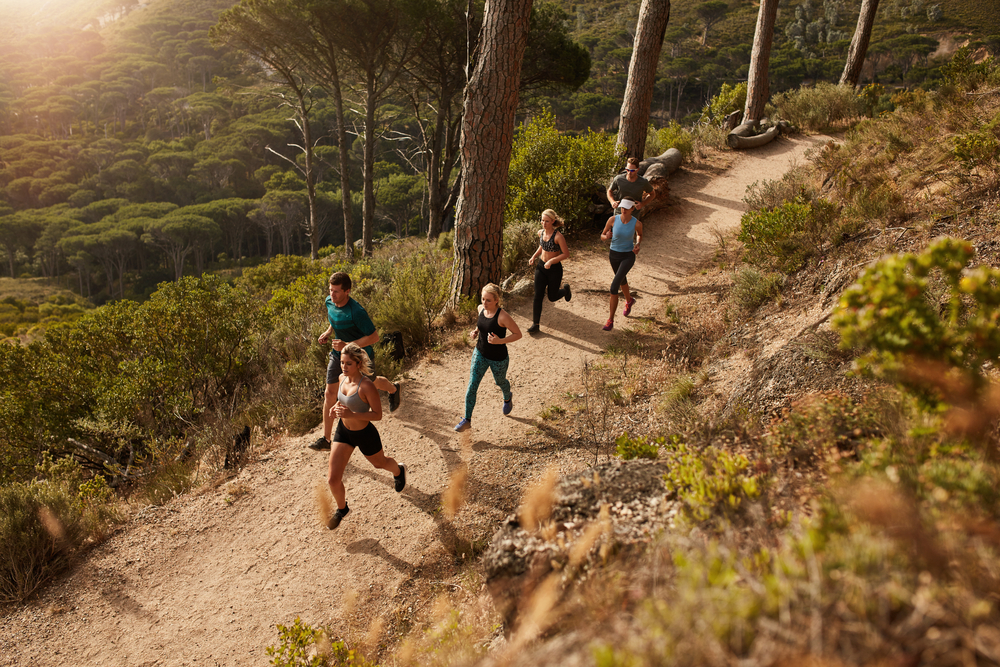 Group,Of,Runners,In,A,Cross,Country,Race.,Young,People