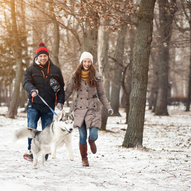 Couple,Walking,Dog,Winter