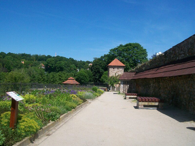 100_4454