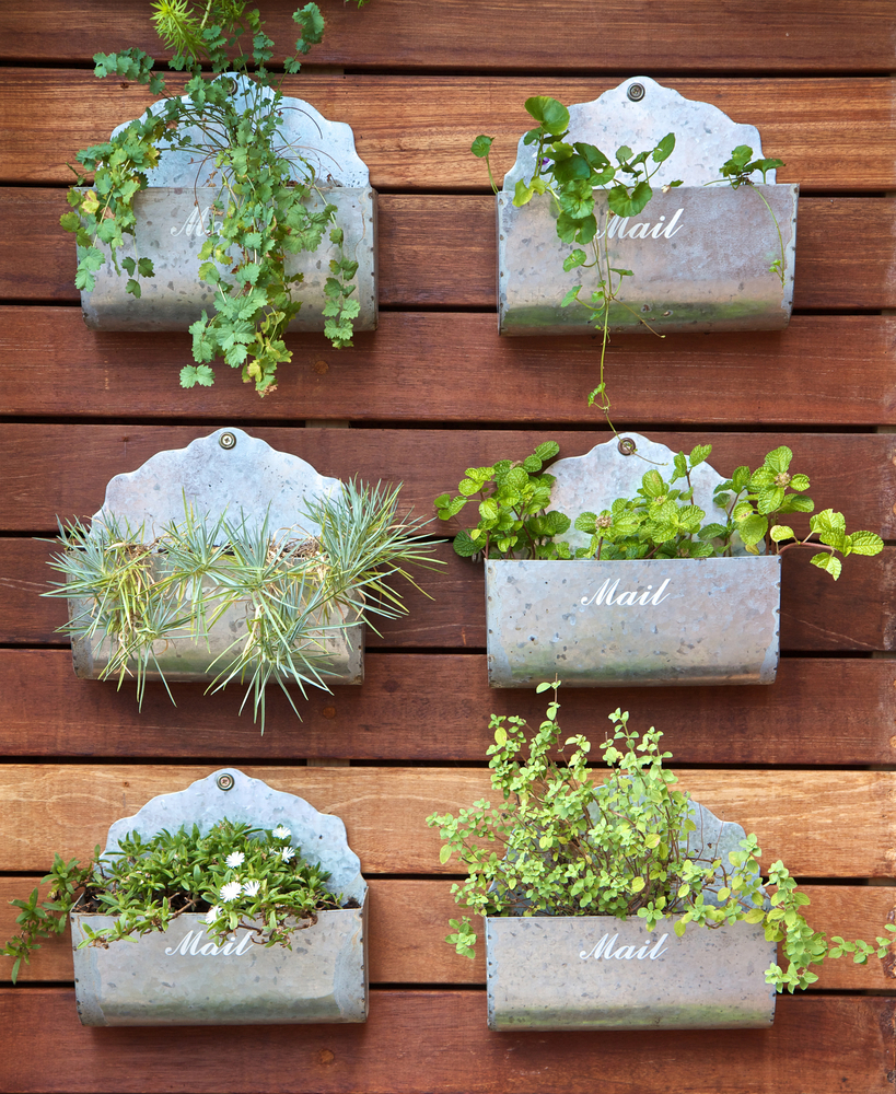 Vertical,Gardening,Concept.,Plants,In,A,Mail,Box