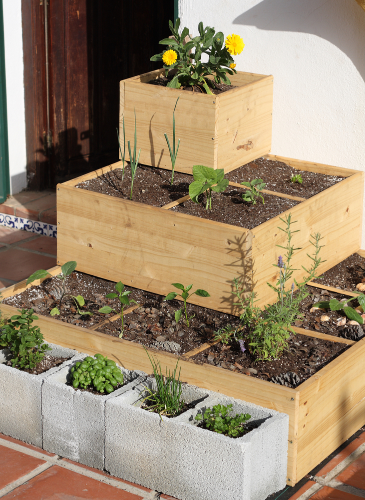 An,Urban,Square,Foot,Garden