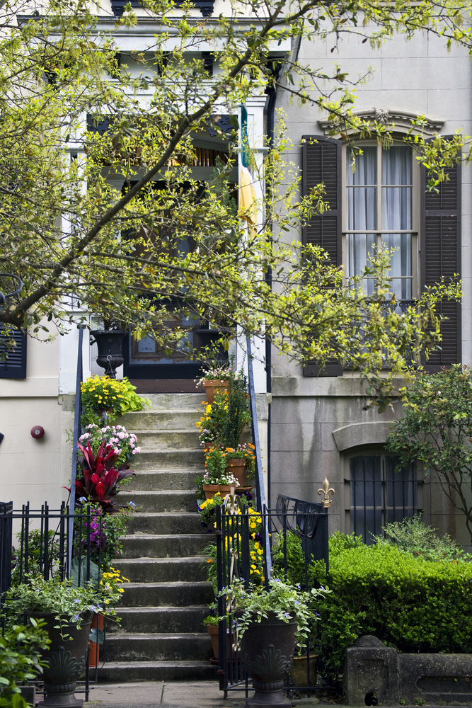 Colorful,Plants,Arranged,On,Steps,In,The,Historic,District,Of