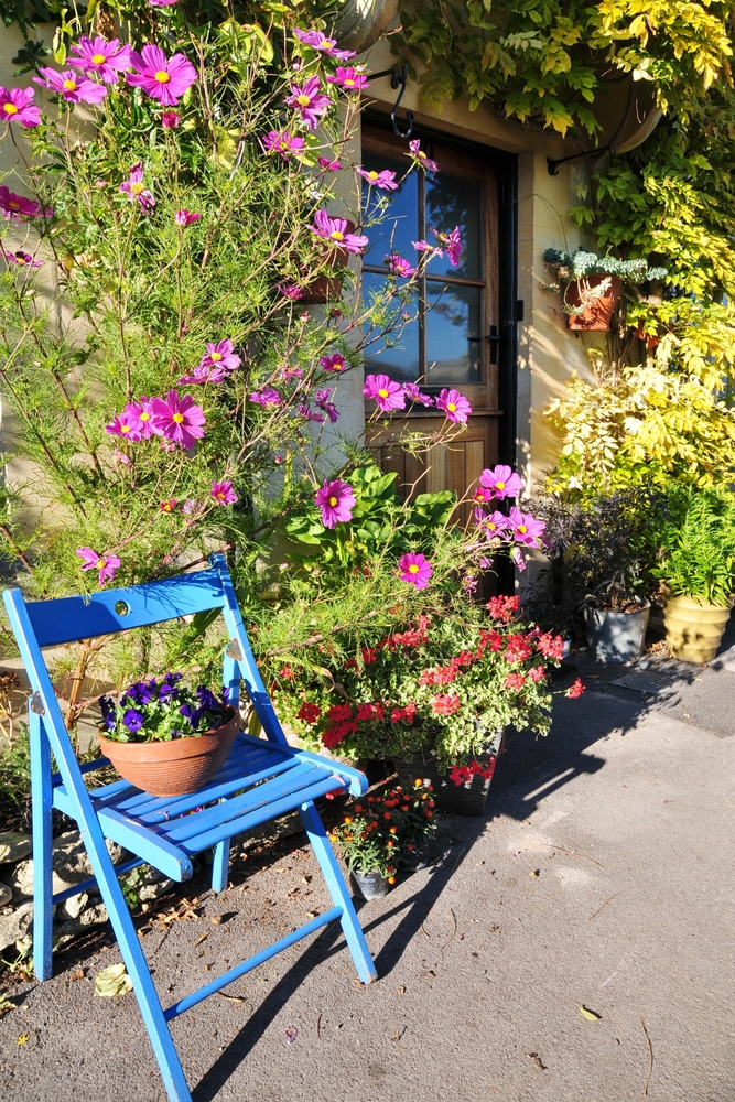 View,Of,A,Small,Garden,Outside,A,House,With,A